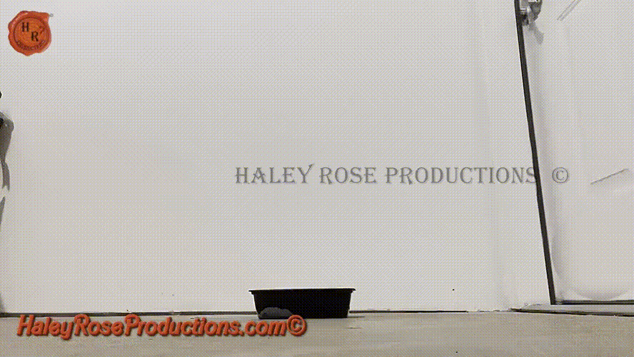 Haley Rose — "toilet slave hostage"