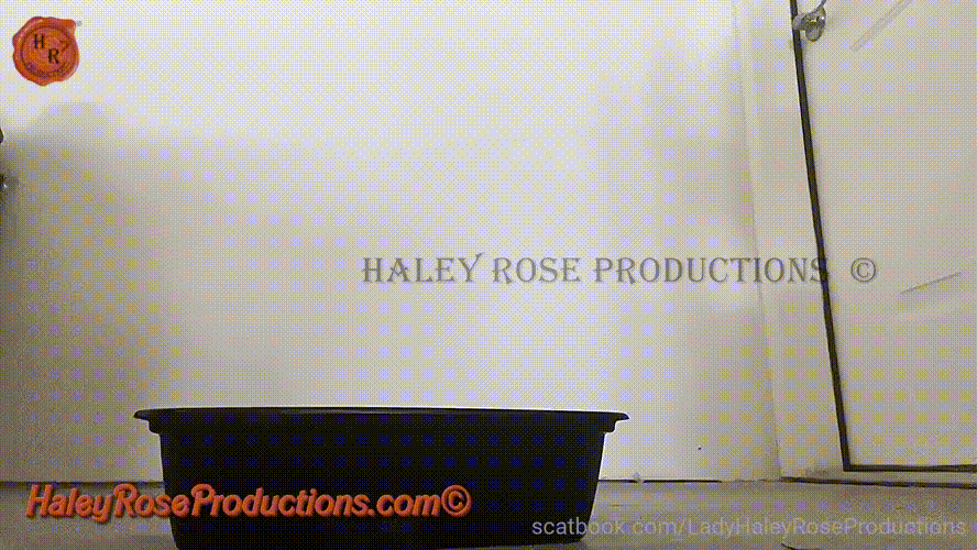 Haley Rose — "CNC Cuckold Toilet Slave "